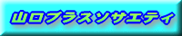 �R���u���X�\�T�G�e�B