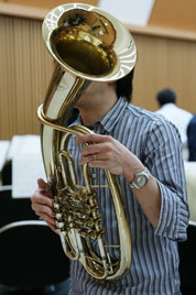 tenorhorn