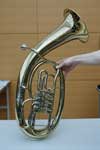 tenorhorn